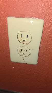 Something possibly poop on outlet