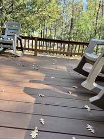 The leaves and trees are so beautiful!