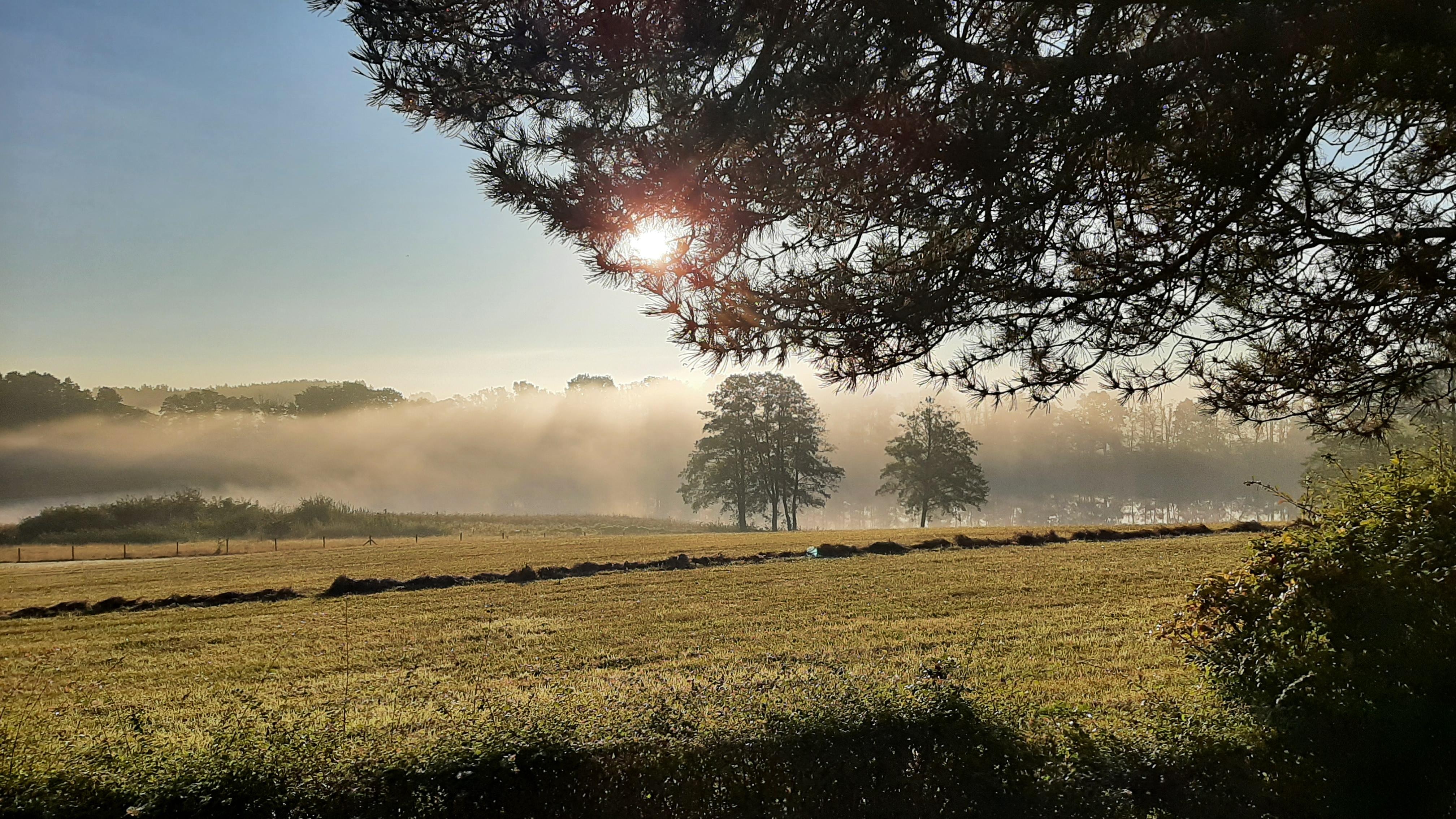 Nebel über dem Dreetzssee, Blick von der Hausterrasse