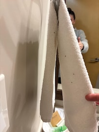 Flies on the towels
