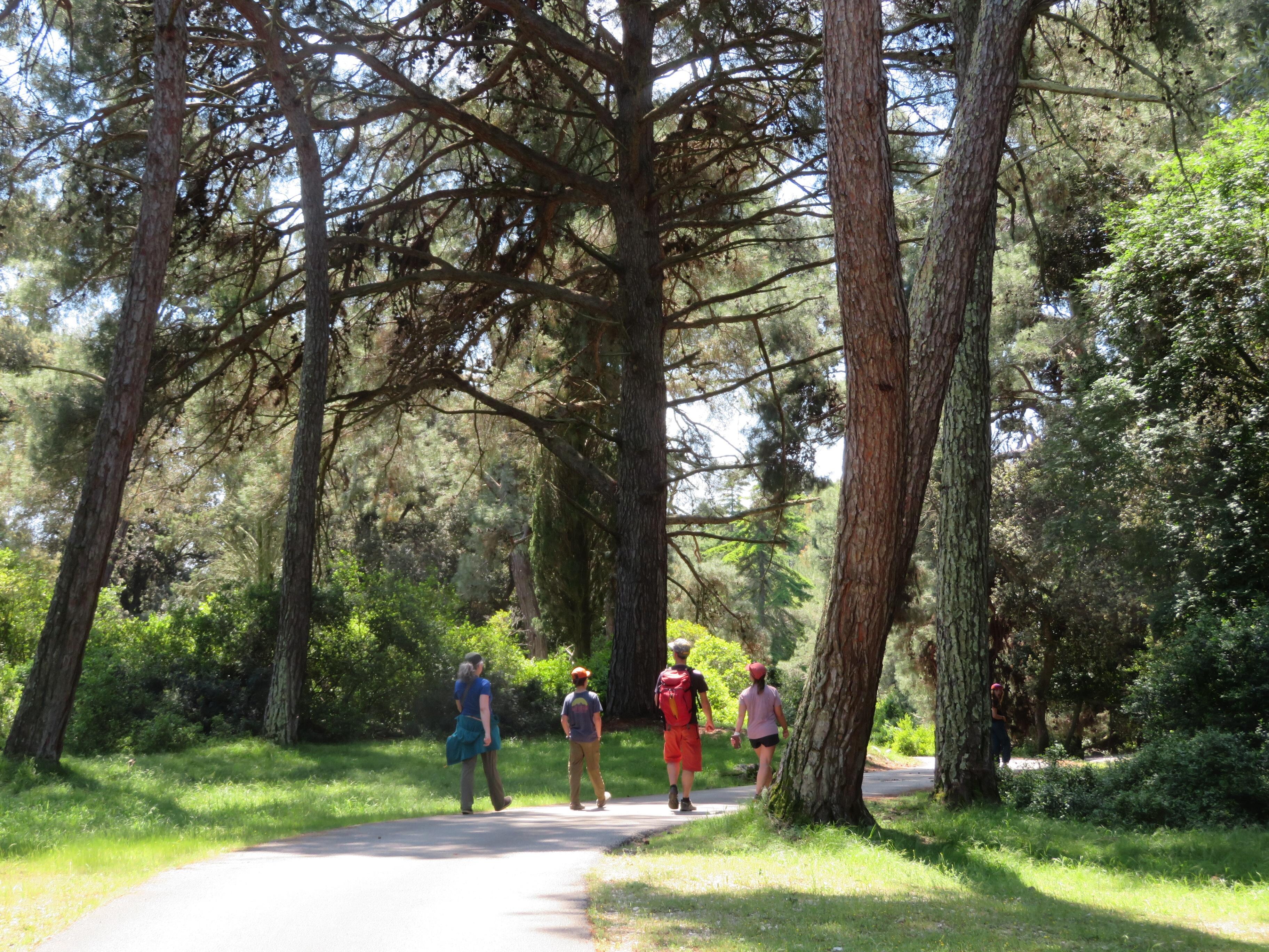 Parc National Brijuni