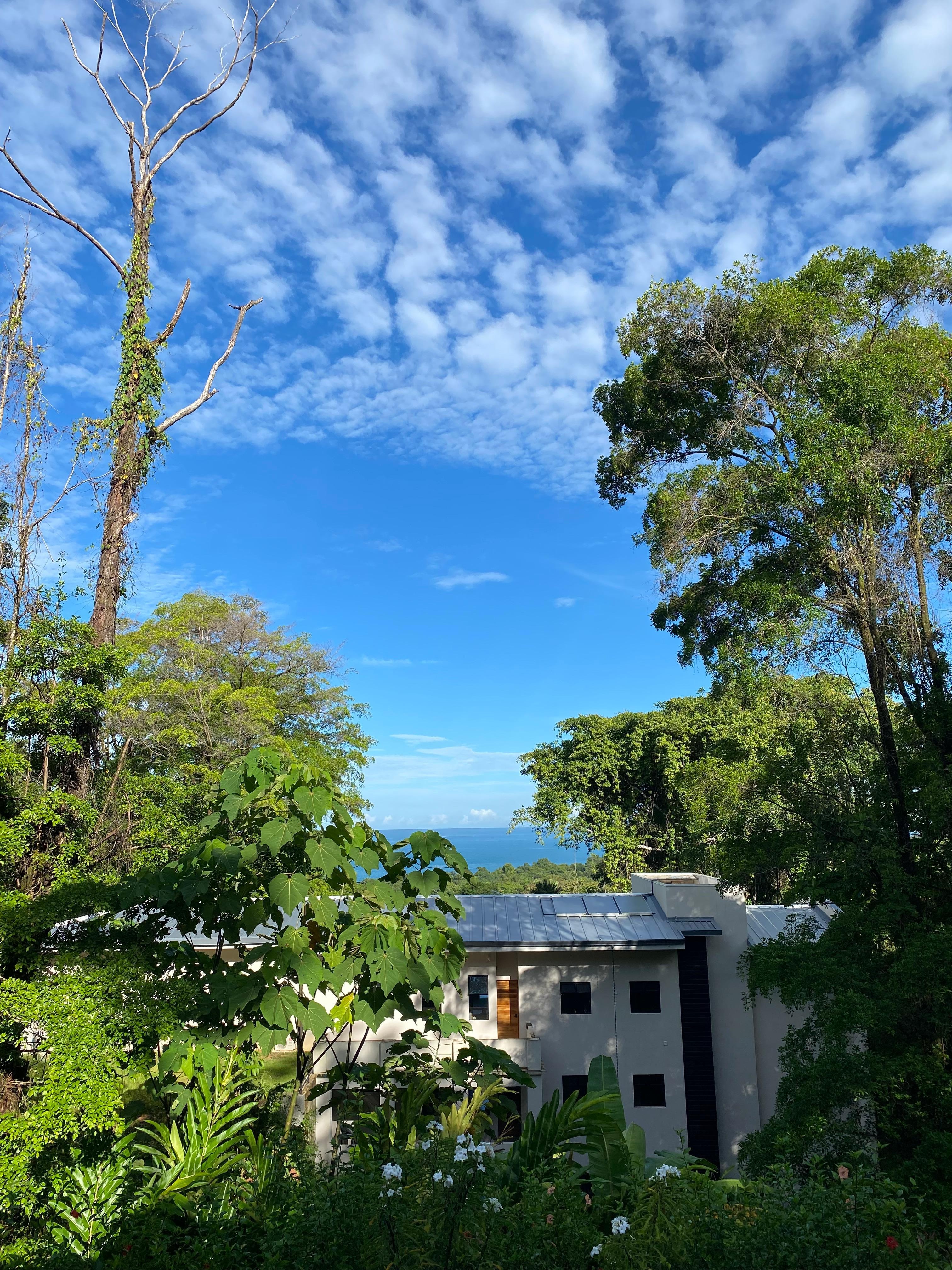 View from balcony