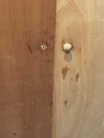 Mold on doors
