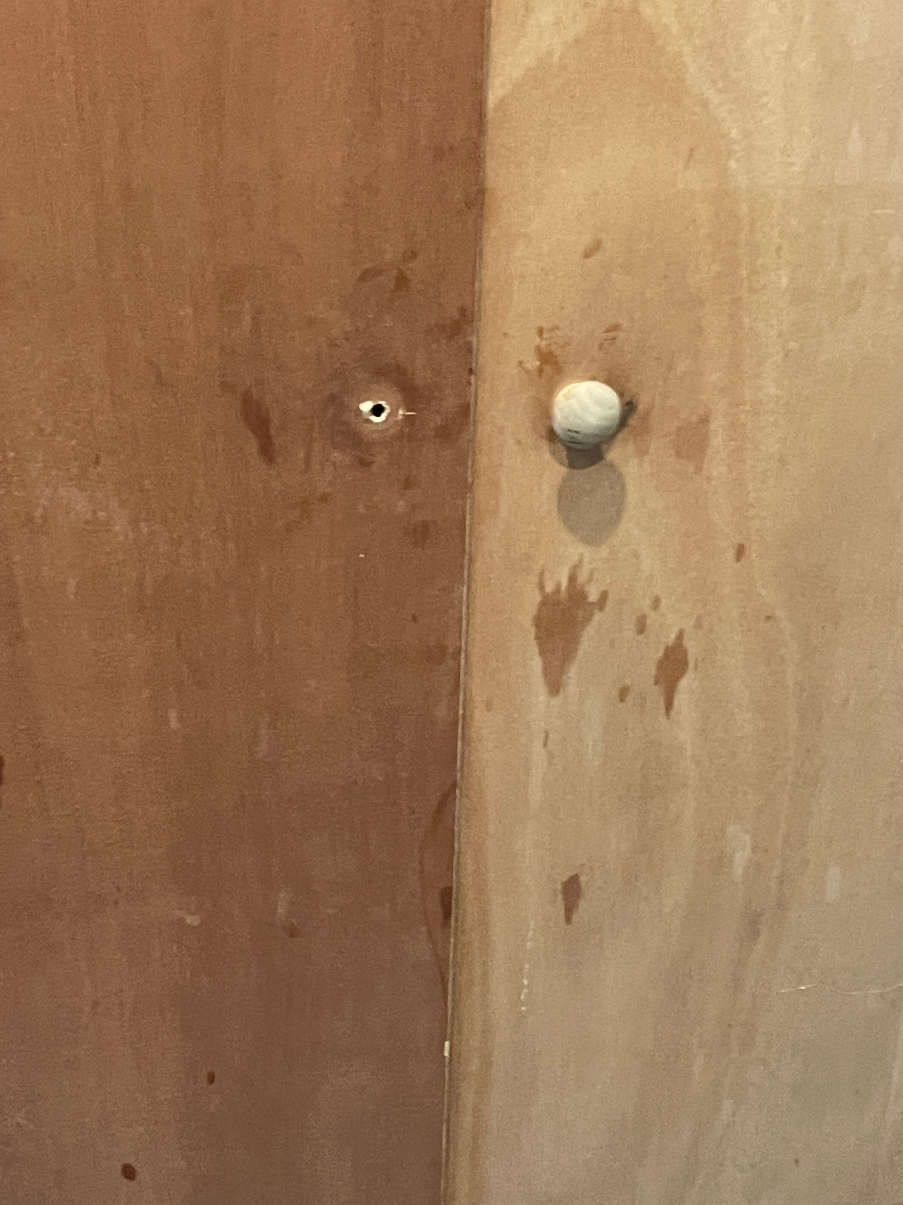 Mold on doors