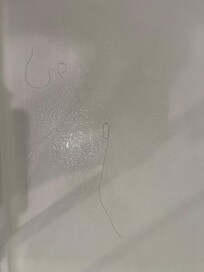 The two very large by black hairs in the bathroom was the final drop . I know mat of this was because the house to was sold out for two nights due t events , however, I think a more streamlined reservation system is a n order ! 
     Nancy Suppelsa