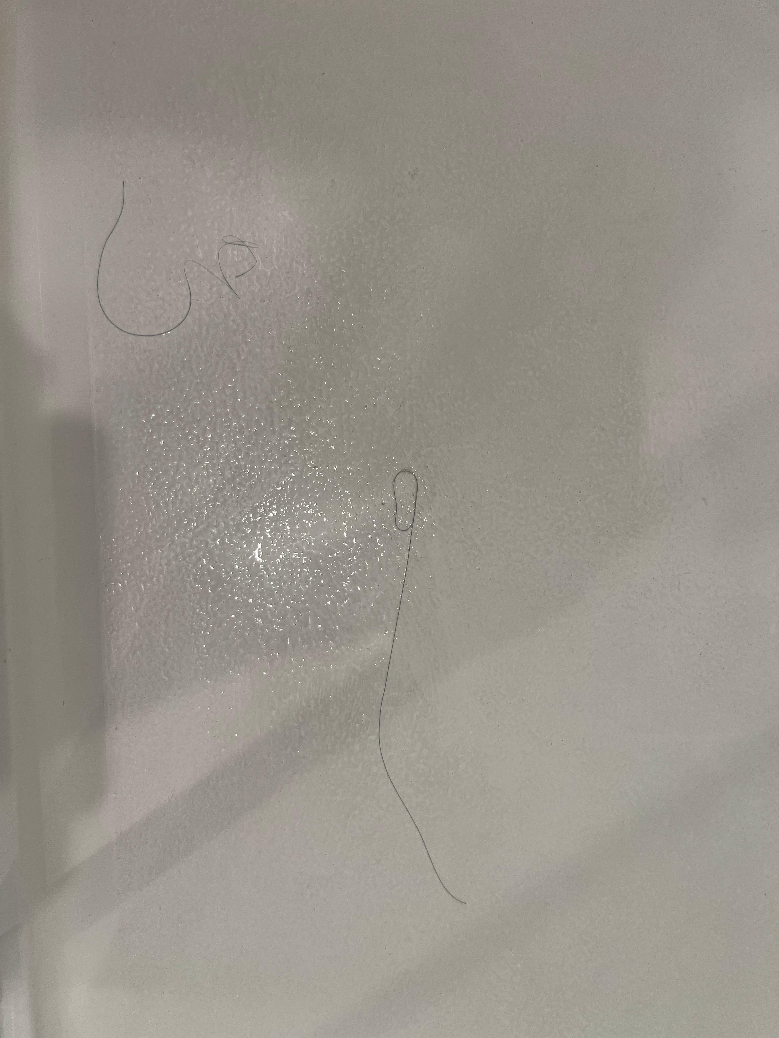 The two very large by black hairs in the bathroom was the final drop . I know mat of this was because the house to was sold out for two nights due t events , however, I think a more streamlined reservation system is a n order !
Nancy Suppelsa