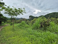 View deep down the trail