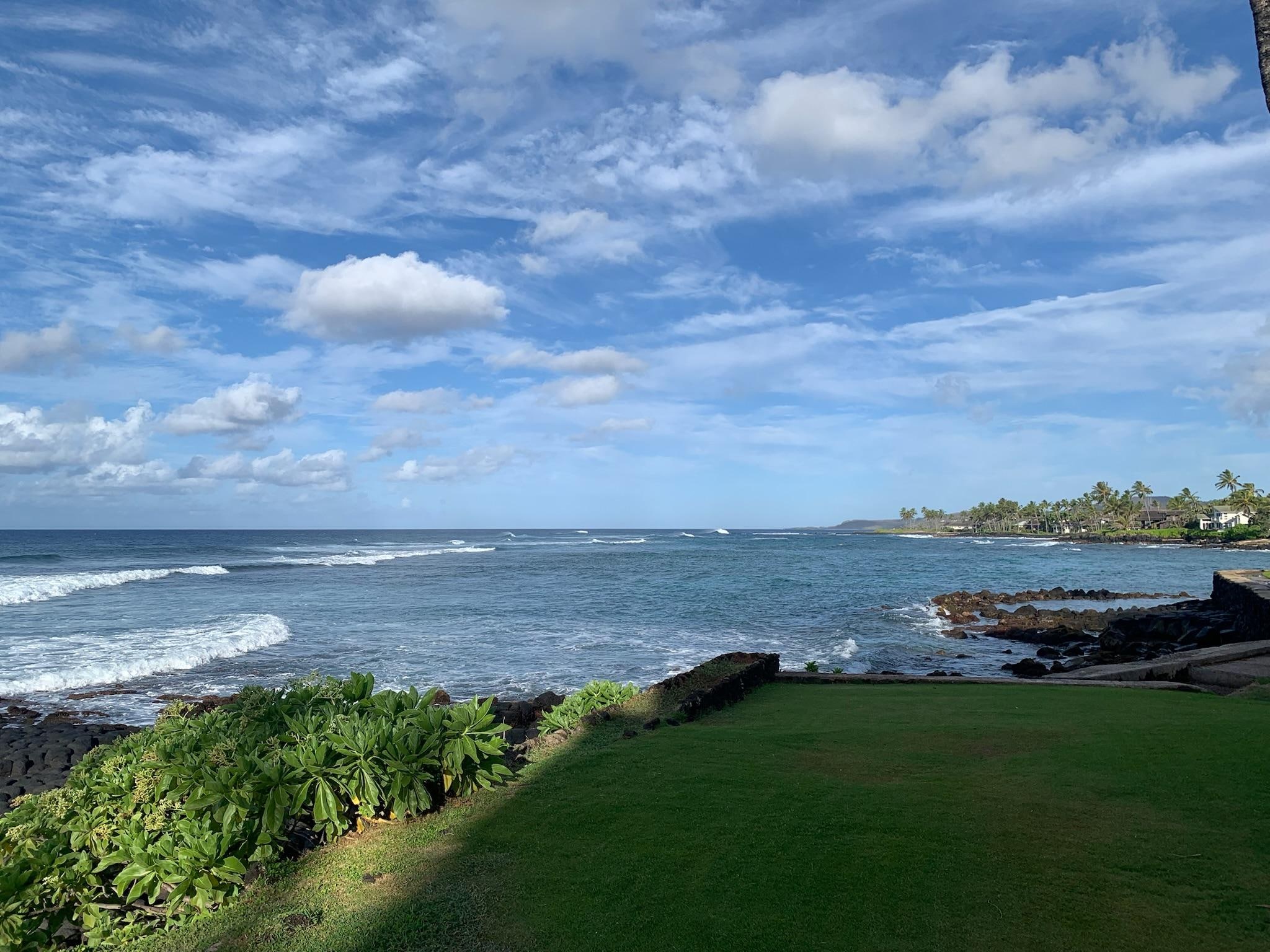 View from just a few steps straight out of the lanai