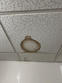 Water stains in bedroom ceiling