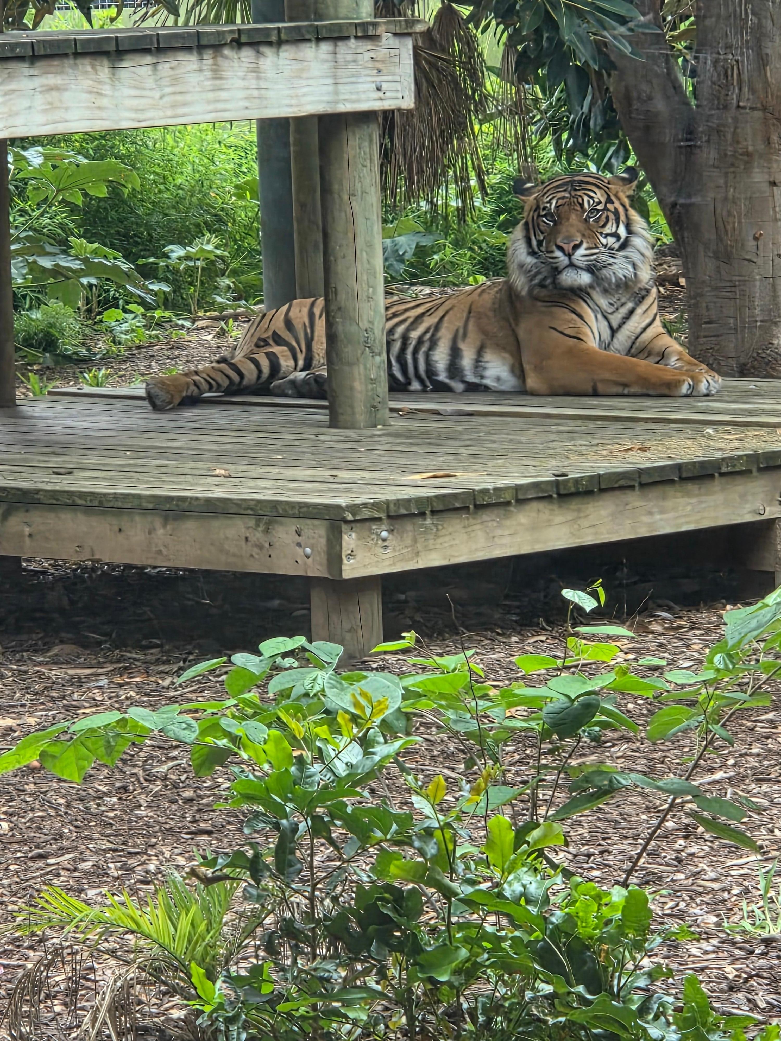 Adelaide zoo is walking distance from Apartment 