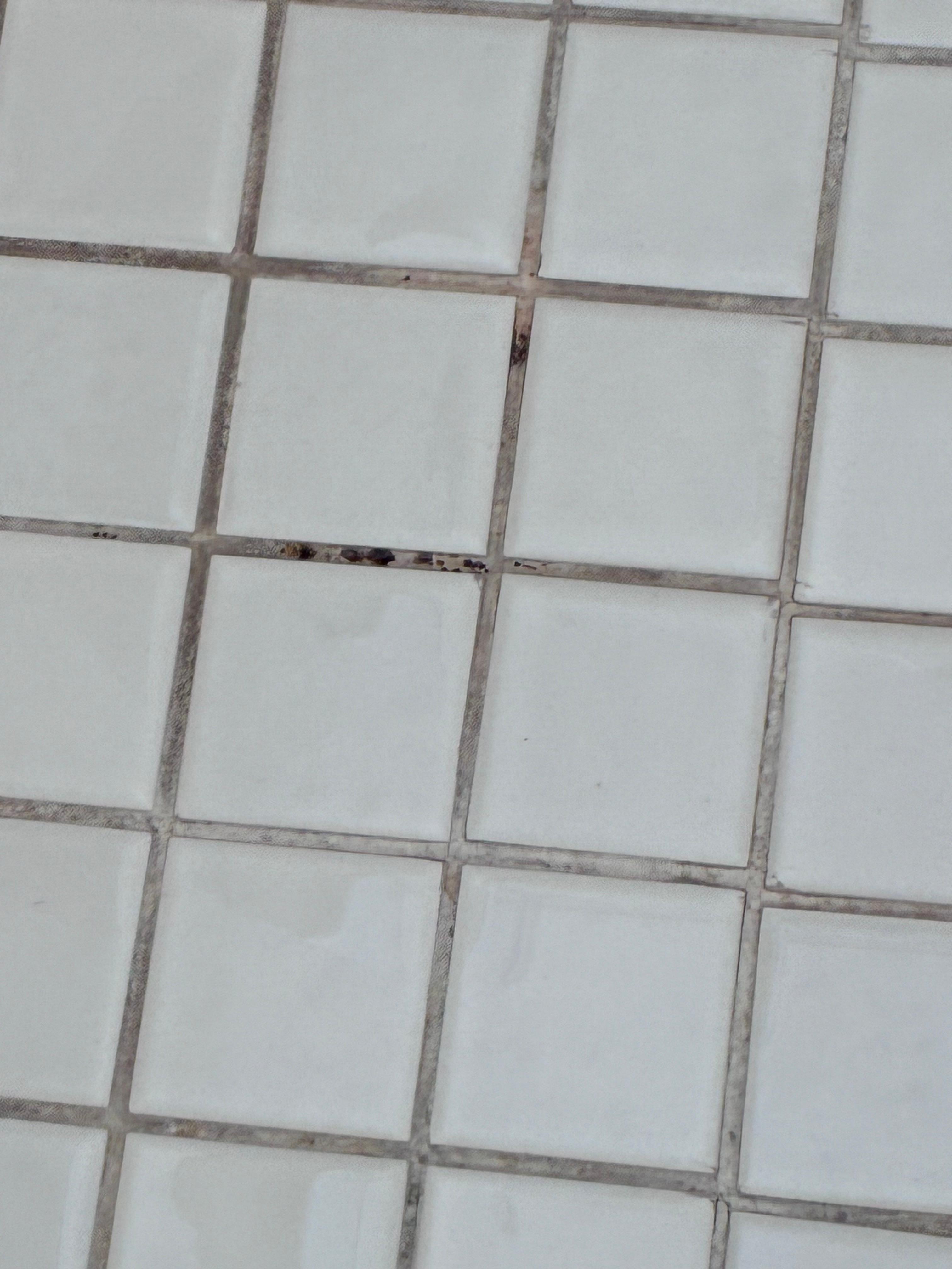 Mold on shower floor