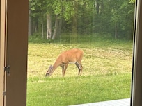 A visitor in front of the deck