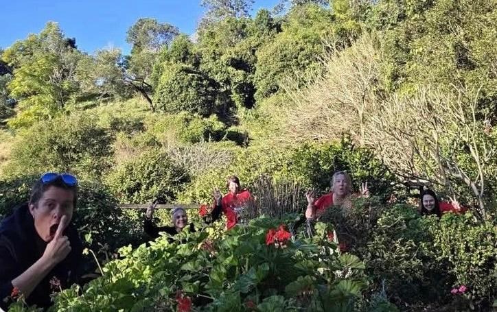 🐇 Beatrix Potter’s garden