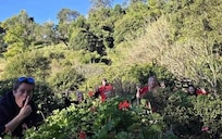 🐇 Beatrix Potter’s garden