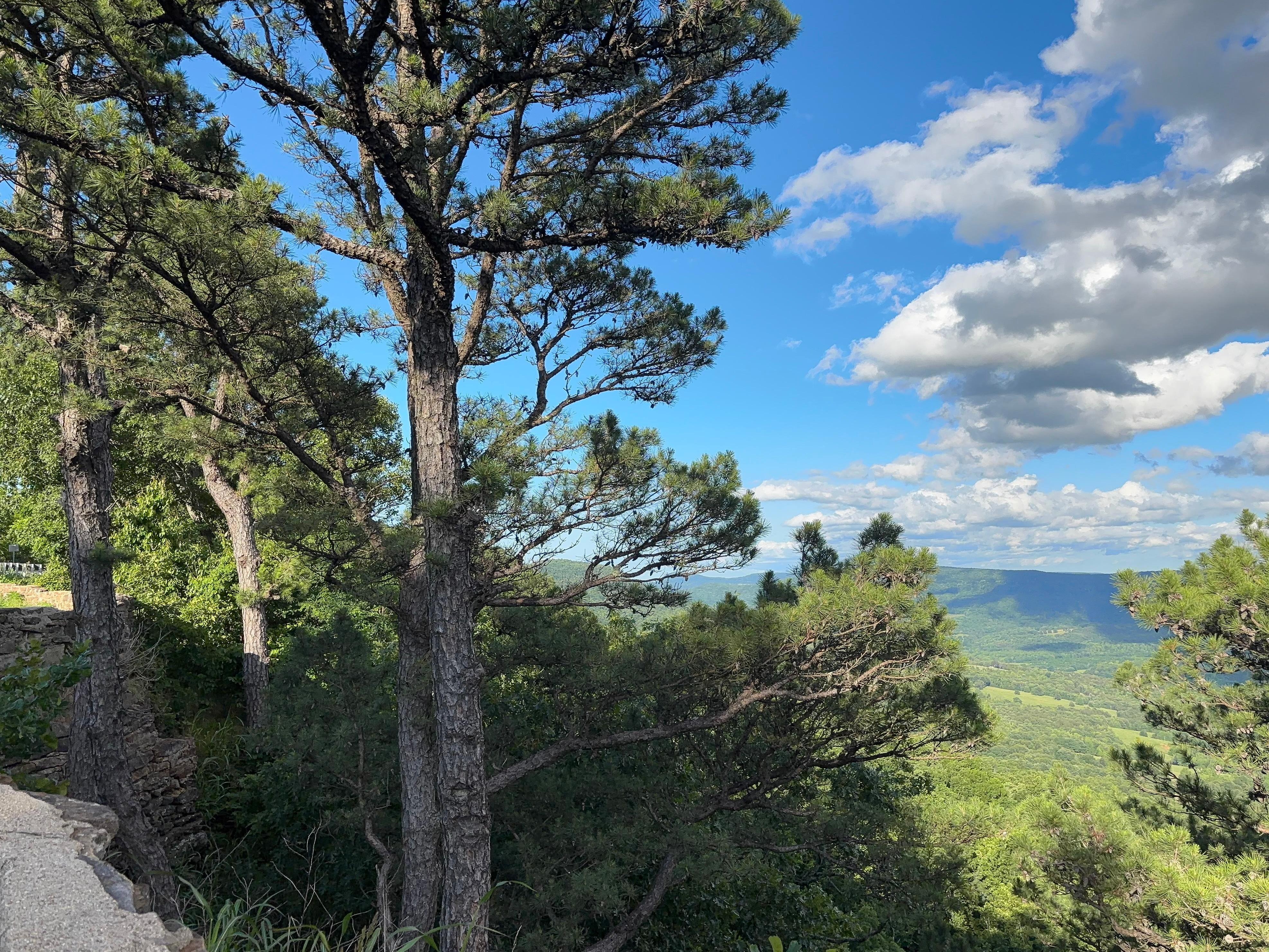 Beautiful scenery this part of Arkansas