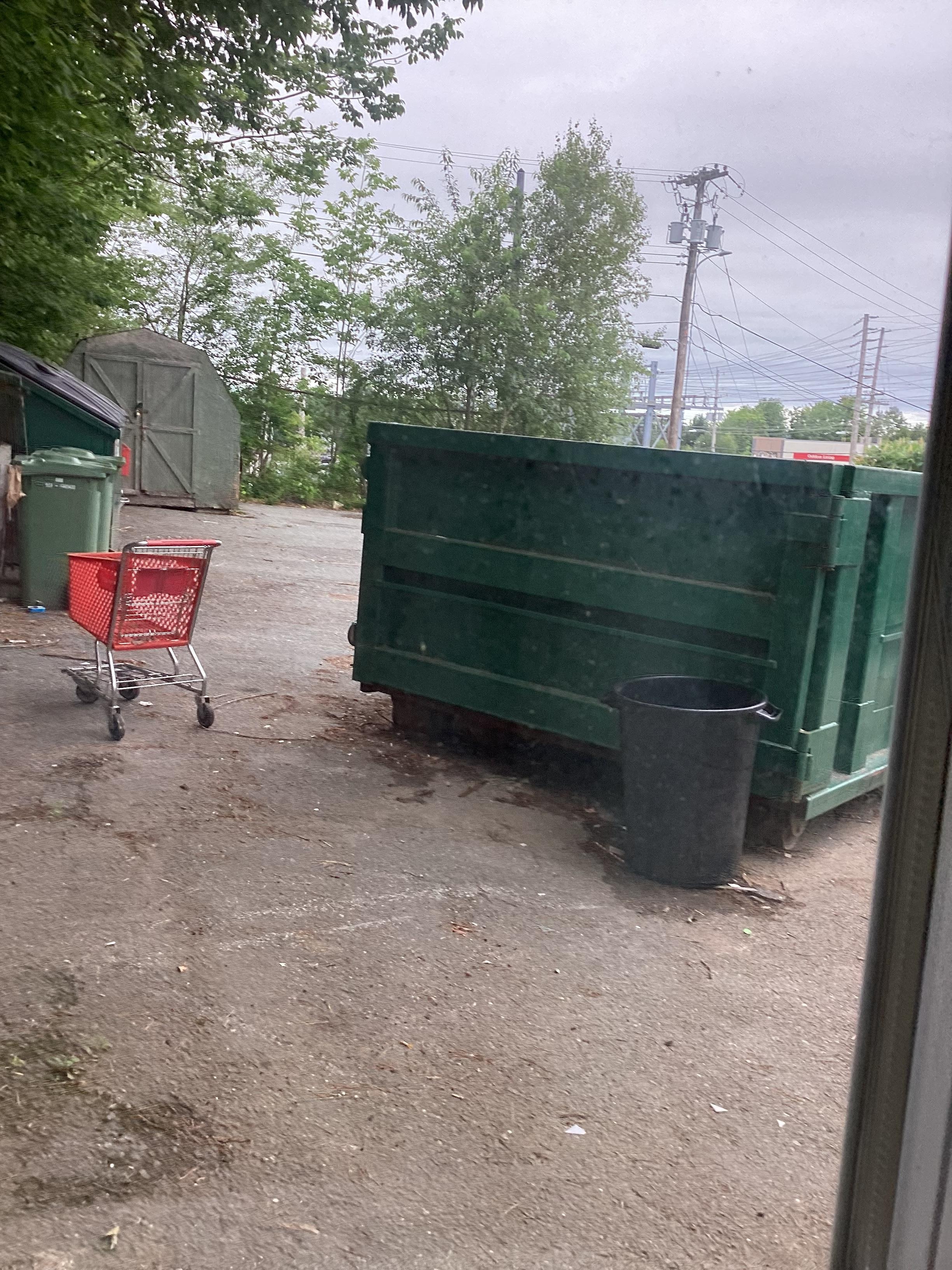 Dumpster outside the window. Shopping carts. 