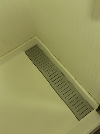 Mold and Mildew in the Shower
