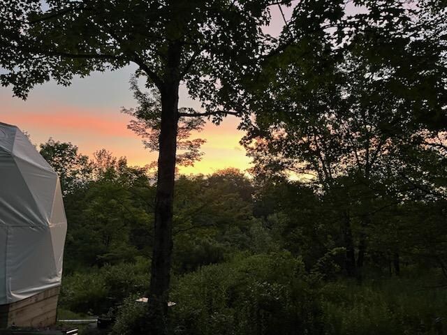 Colors were spectacular 
