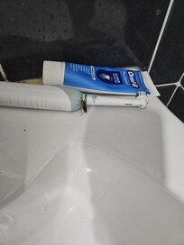 Cockroach in the bathroom