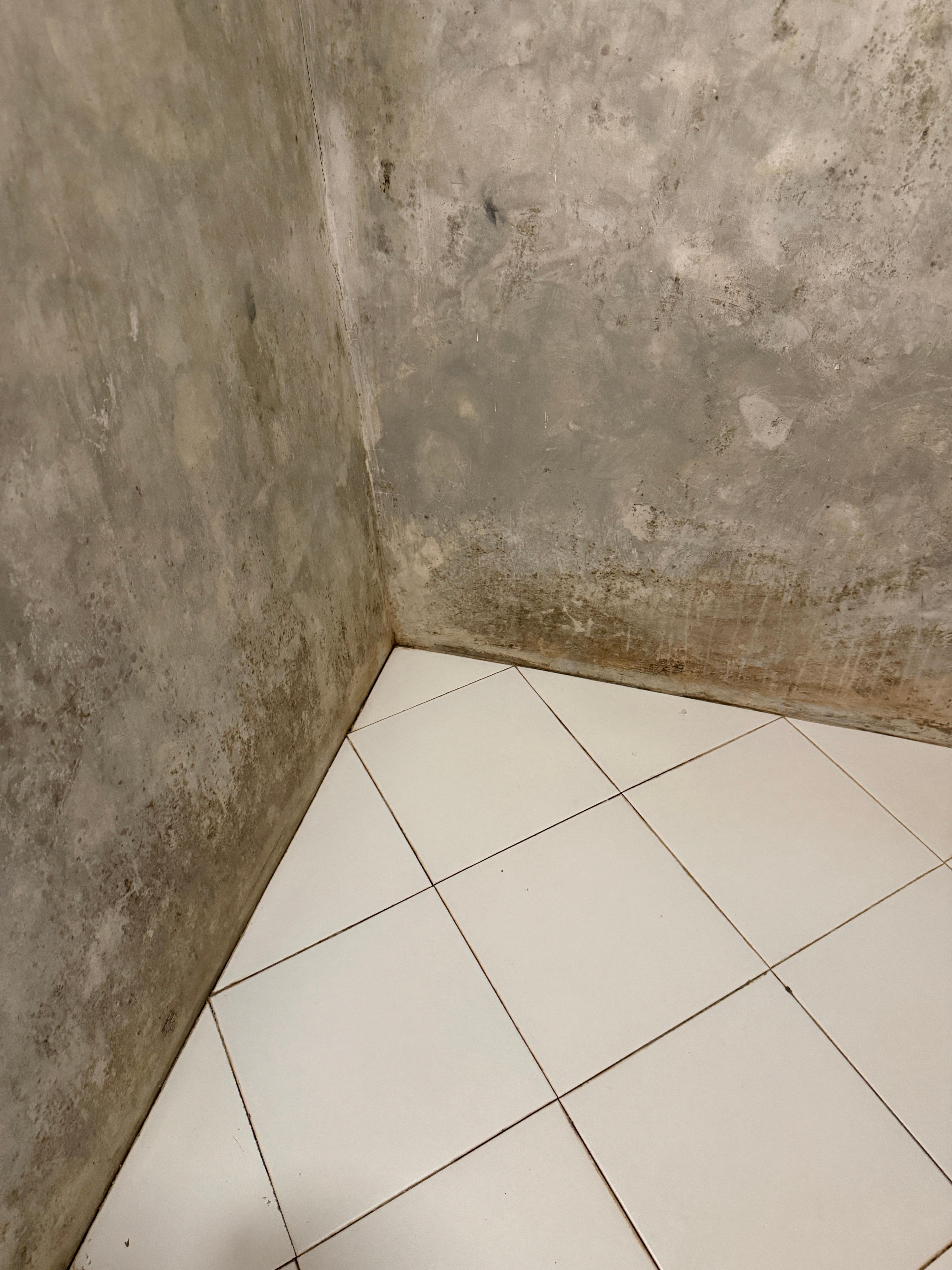 Mould in bathroom 