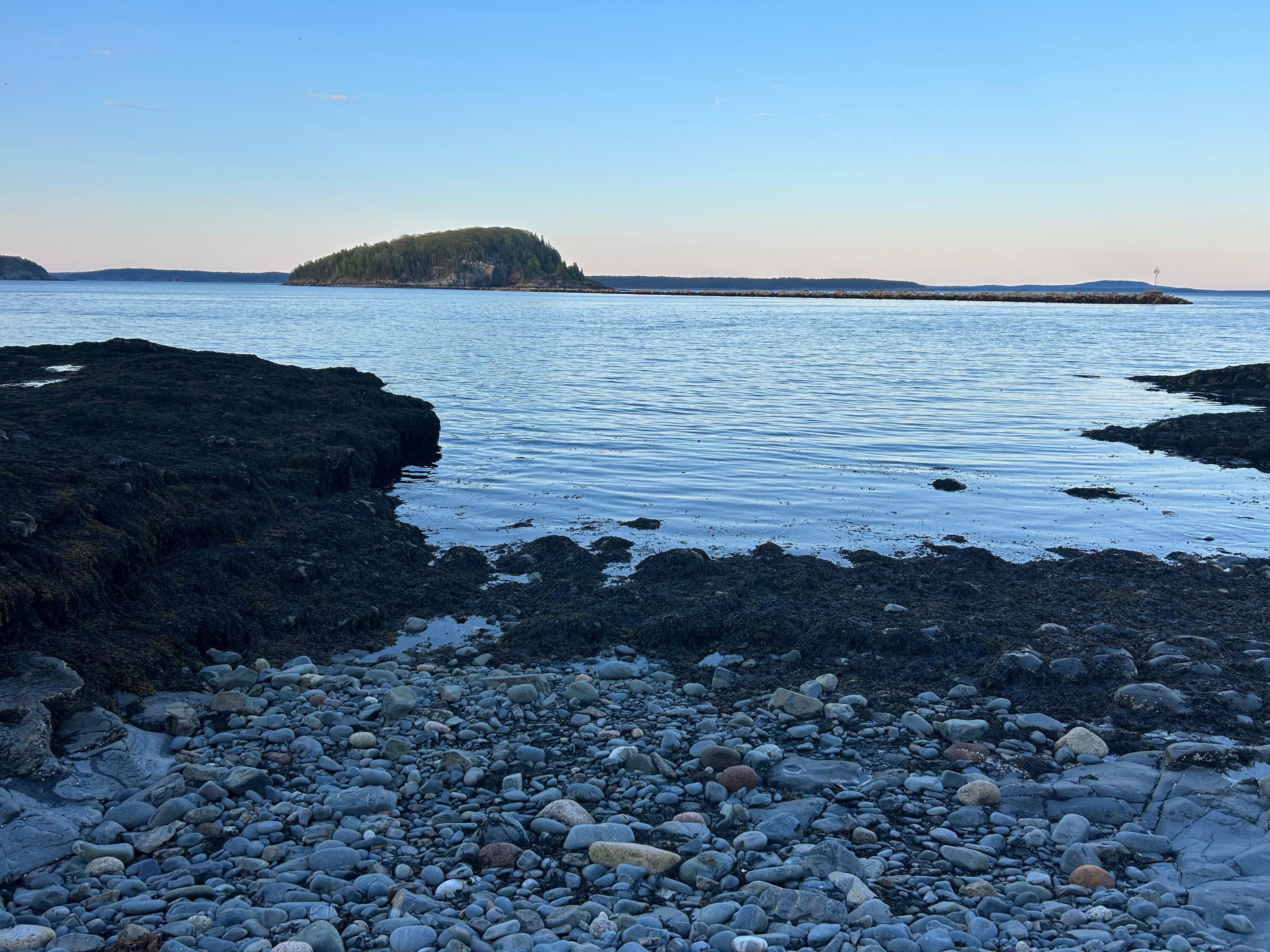 Bare Porcupine Island at low tide from cove