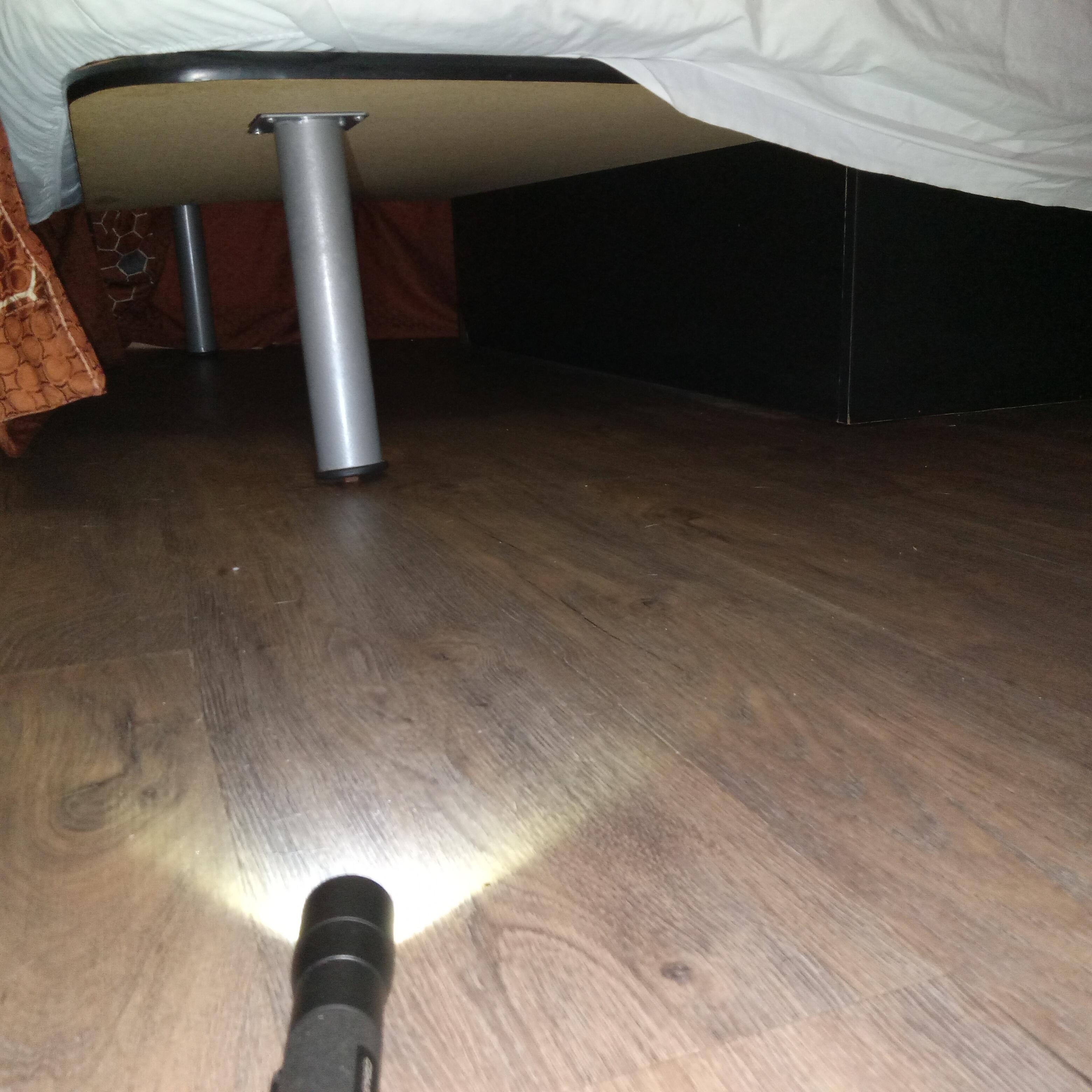 Scary teeter tottering bed... and creepy crawlies 