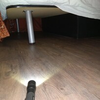 Scary teeter tottering bed... and creepy crawlies