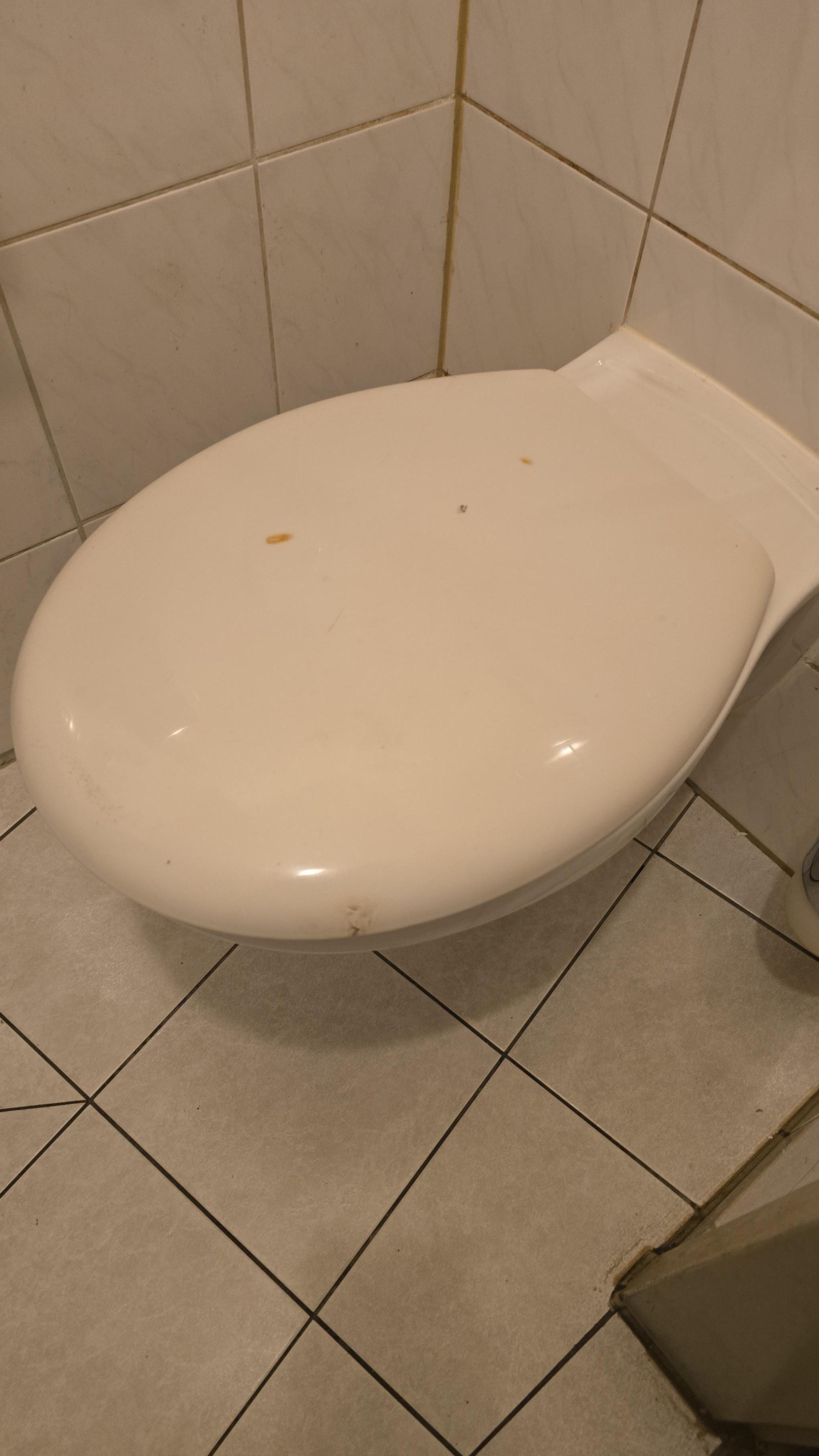 dirty and mouldy toilet