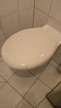 dirty and mouldy toilet