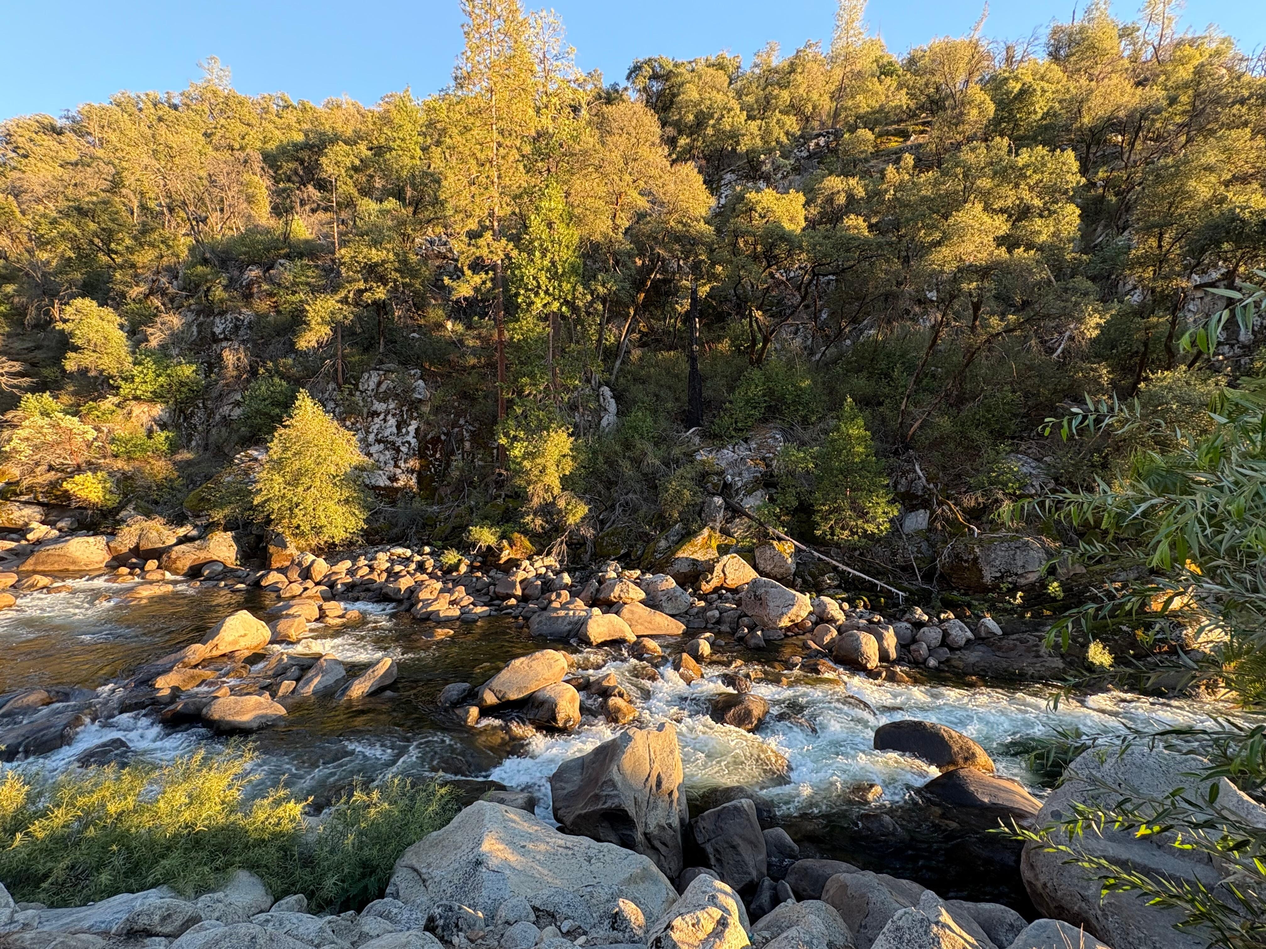 View from balcony/window