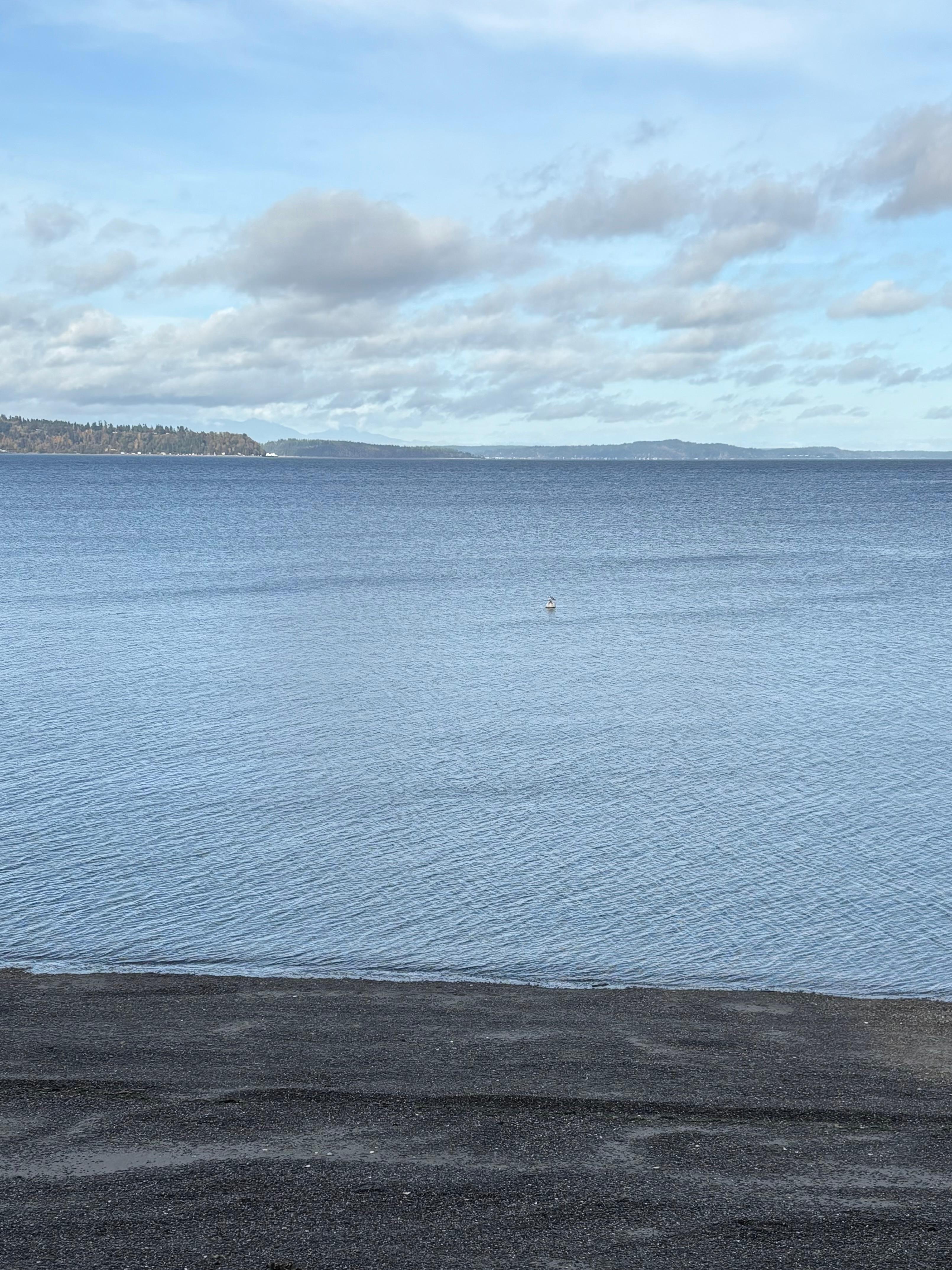 Taken on the beach directly under the VRBO. 