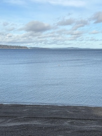 Taken on the beach directly under the VRBO.
