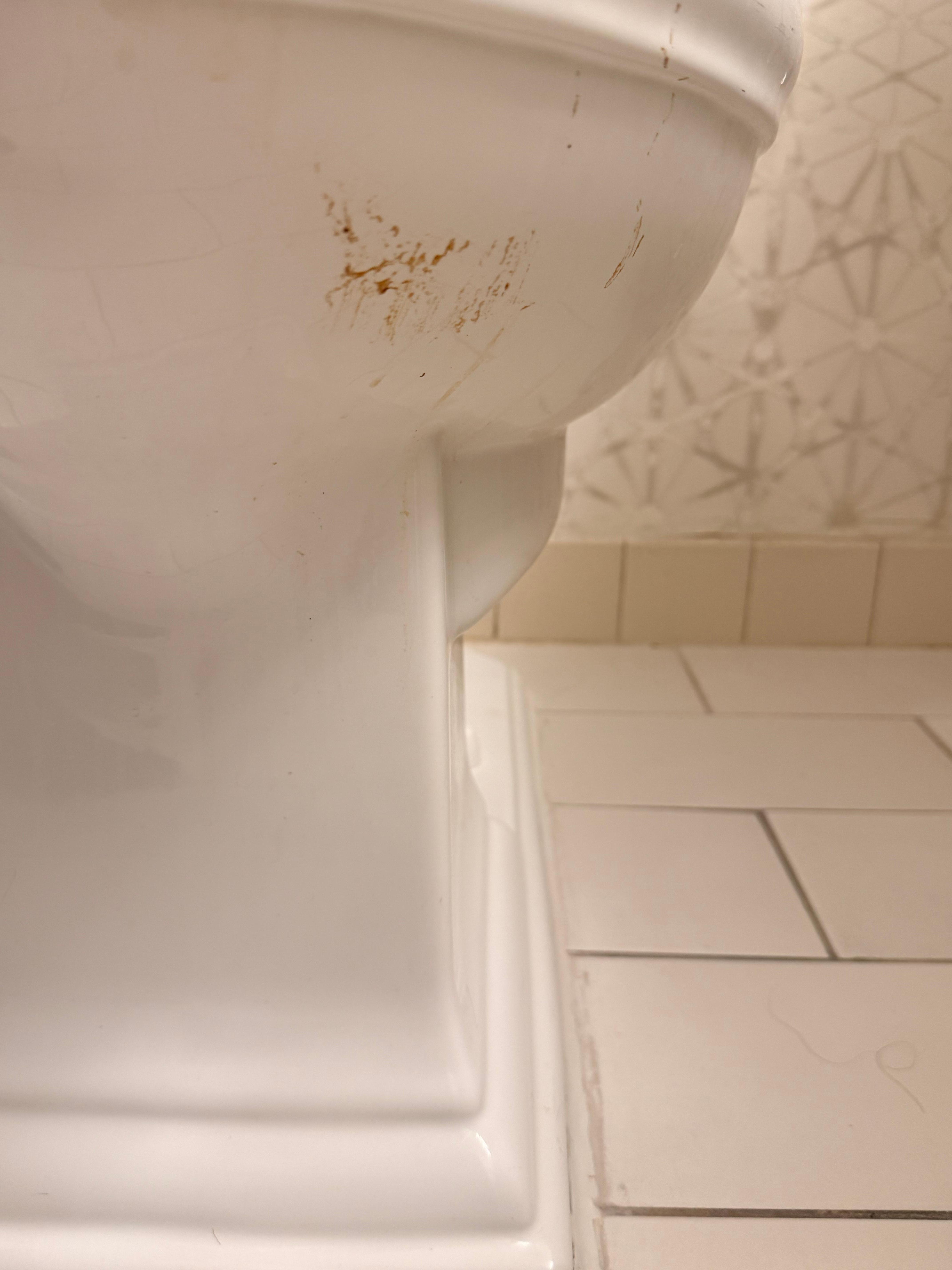 Bathroom toilet was disgustingly and not cleaned 