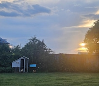 Chickens at dusk