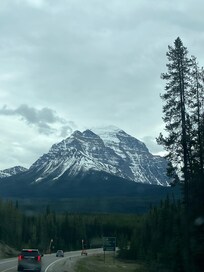 Whole area is beautiful!