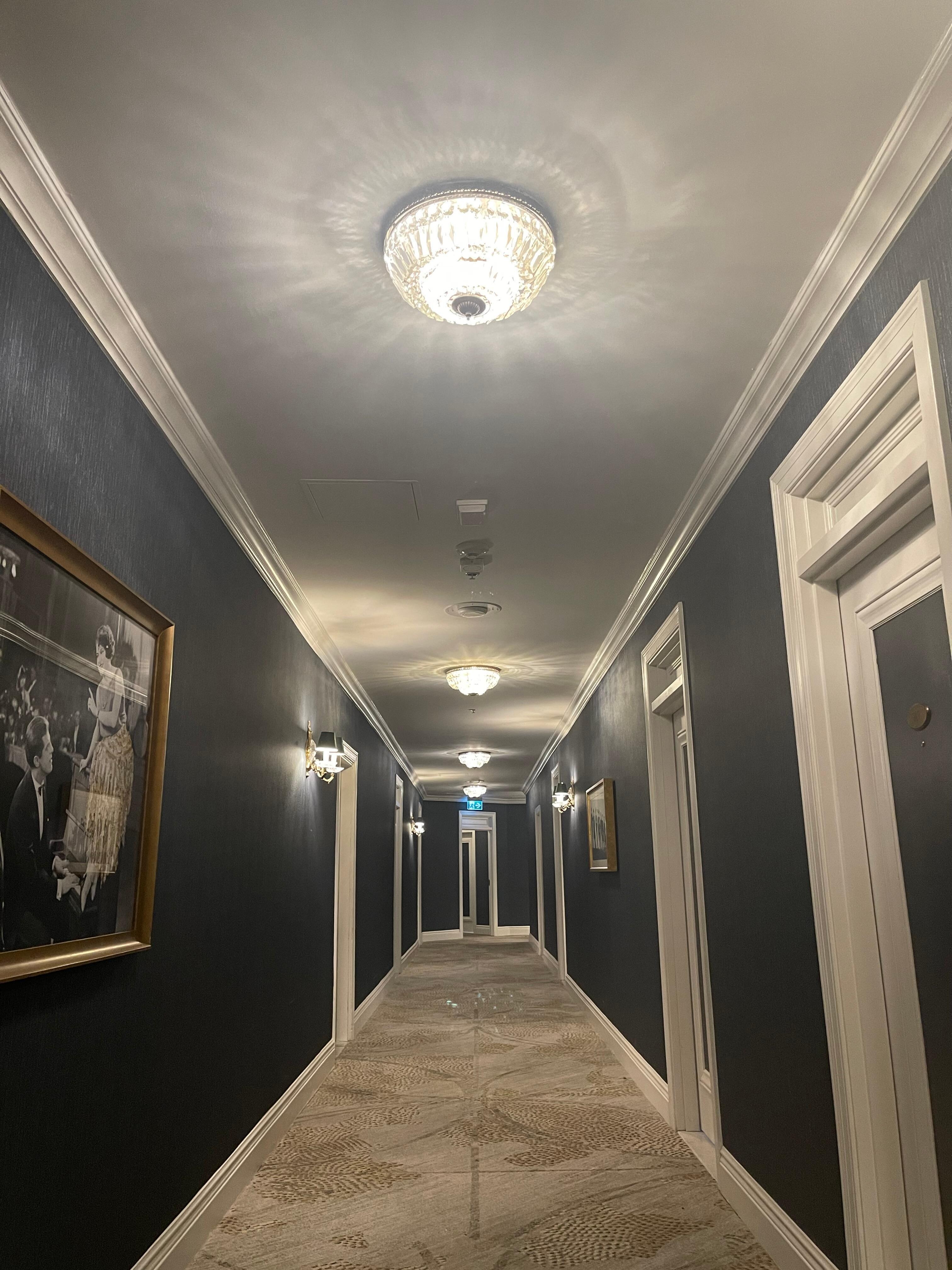 Even the hallways are lovely. 