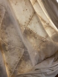 Blanket/comforter
