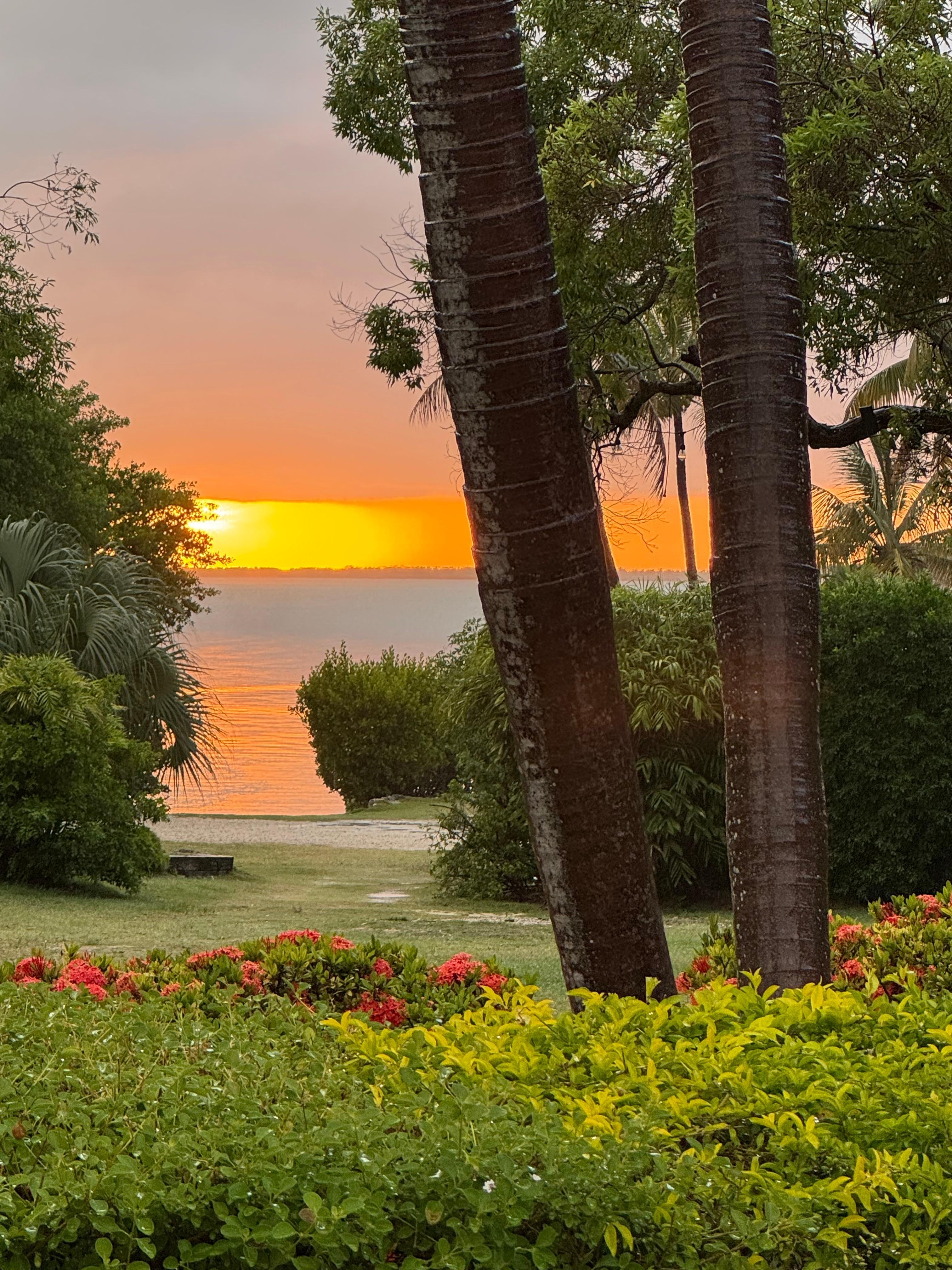 Sunset