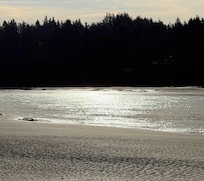 Beach by home