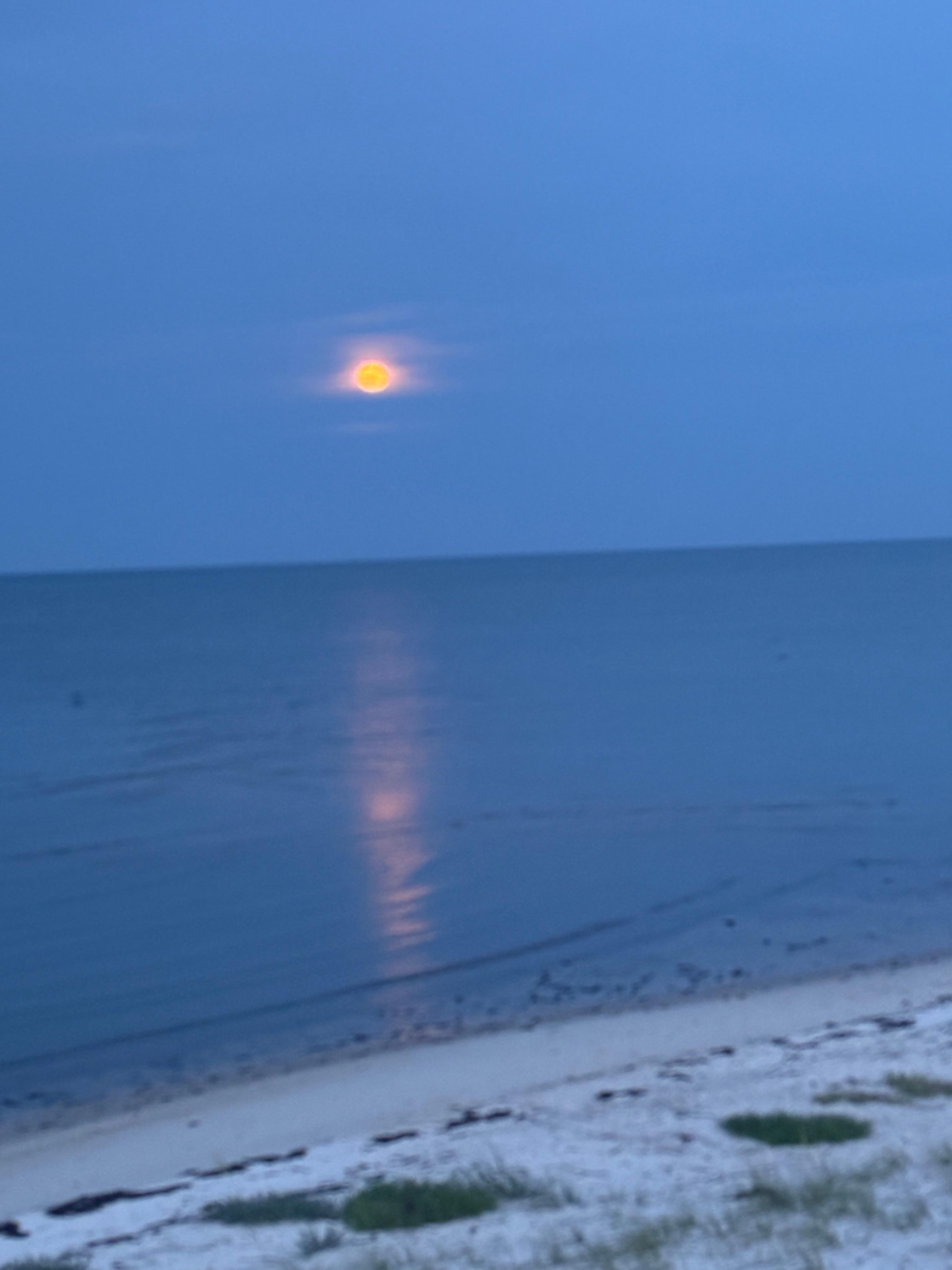 Pink moon