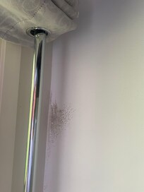 Mould in bedroom
