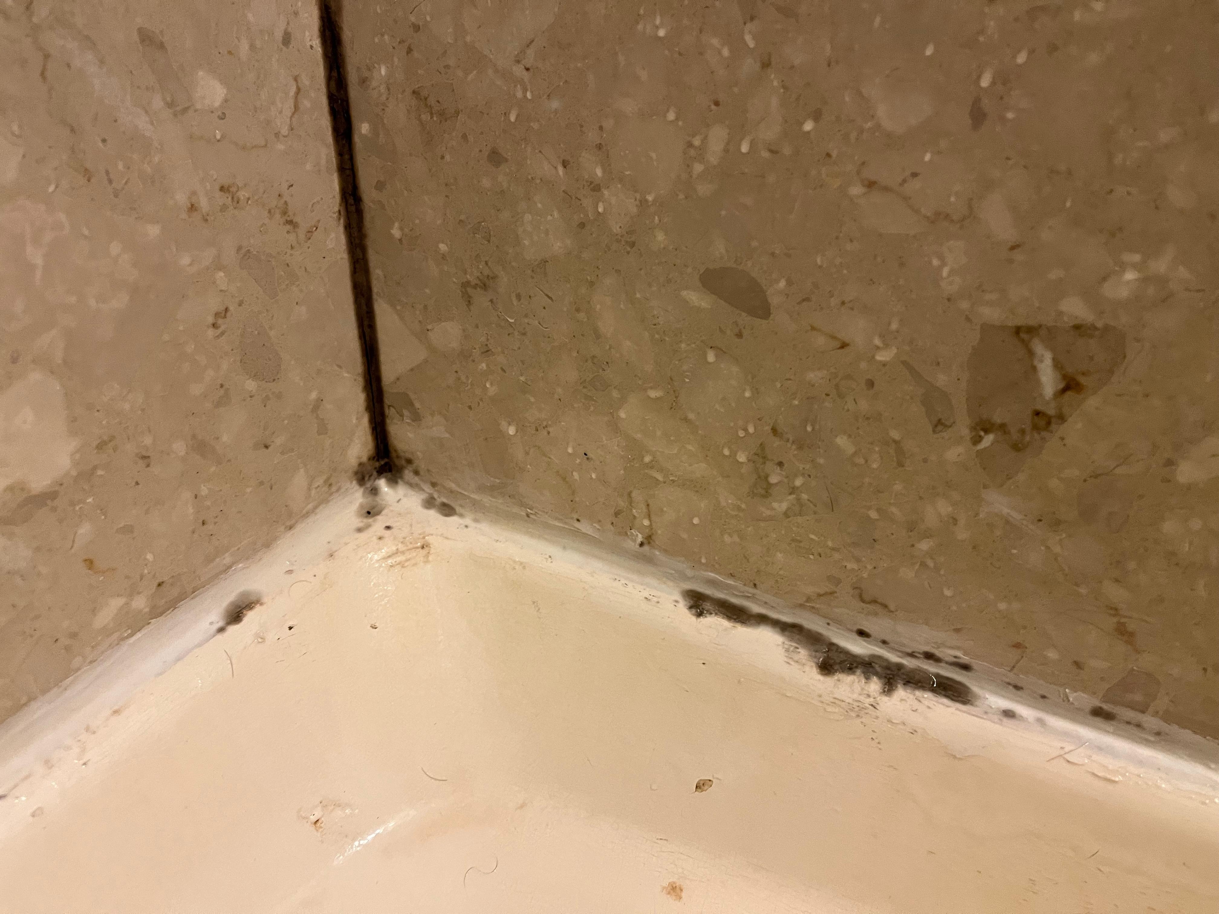 Mold?