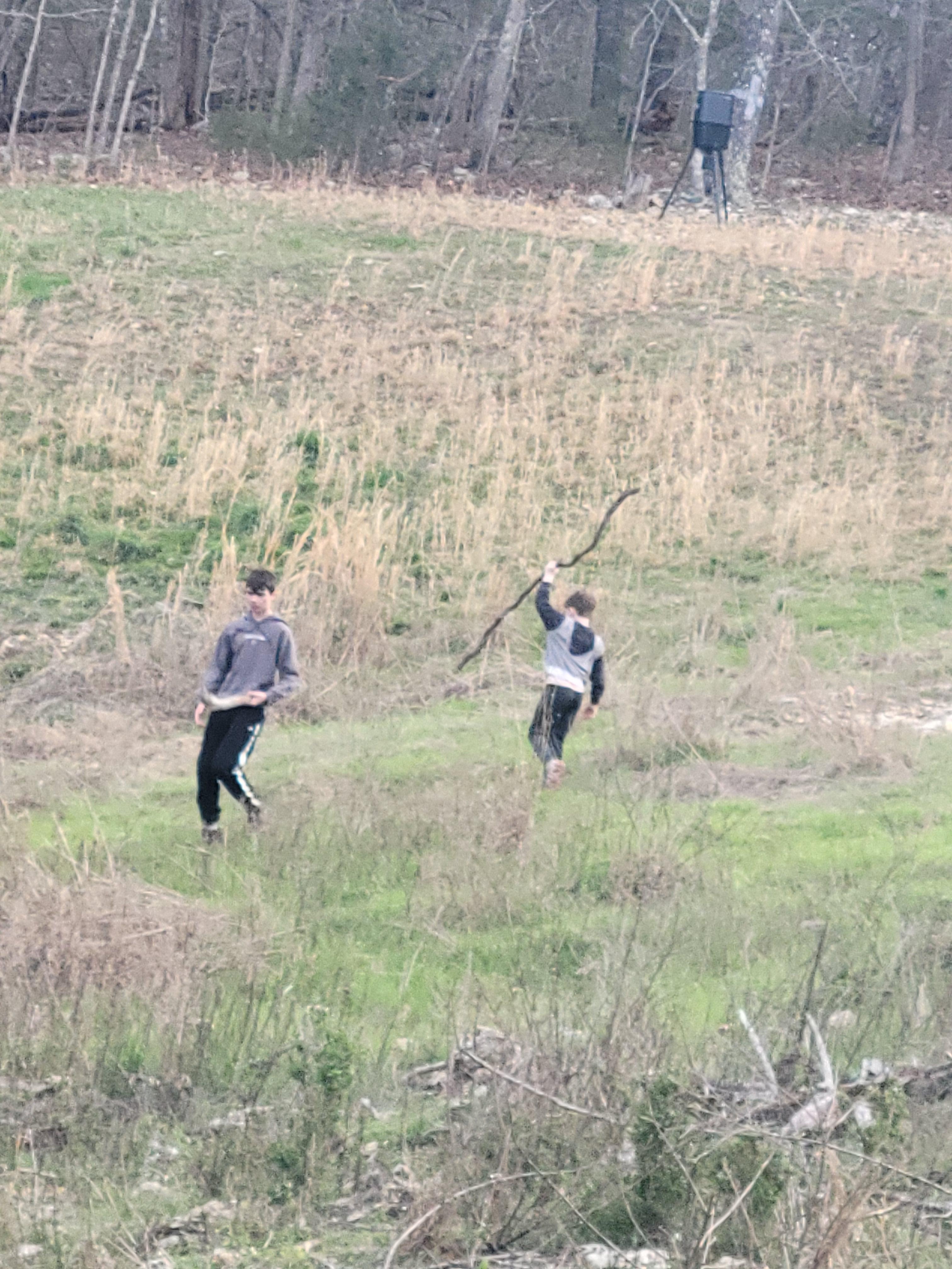 There is a large field before you get to the woods/lake that my boys loved to explore.