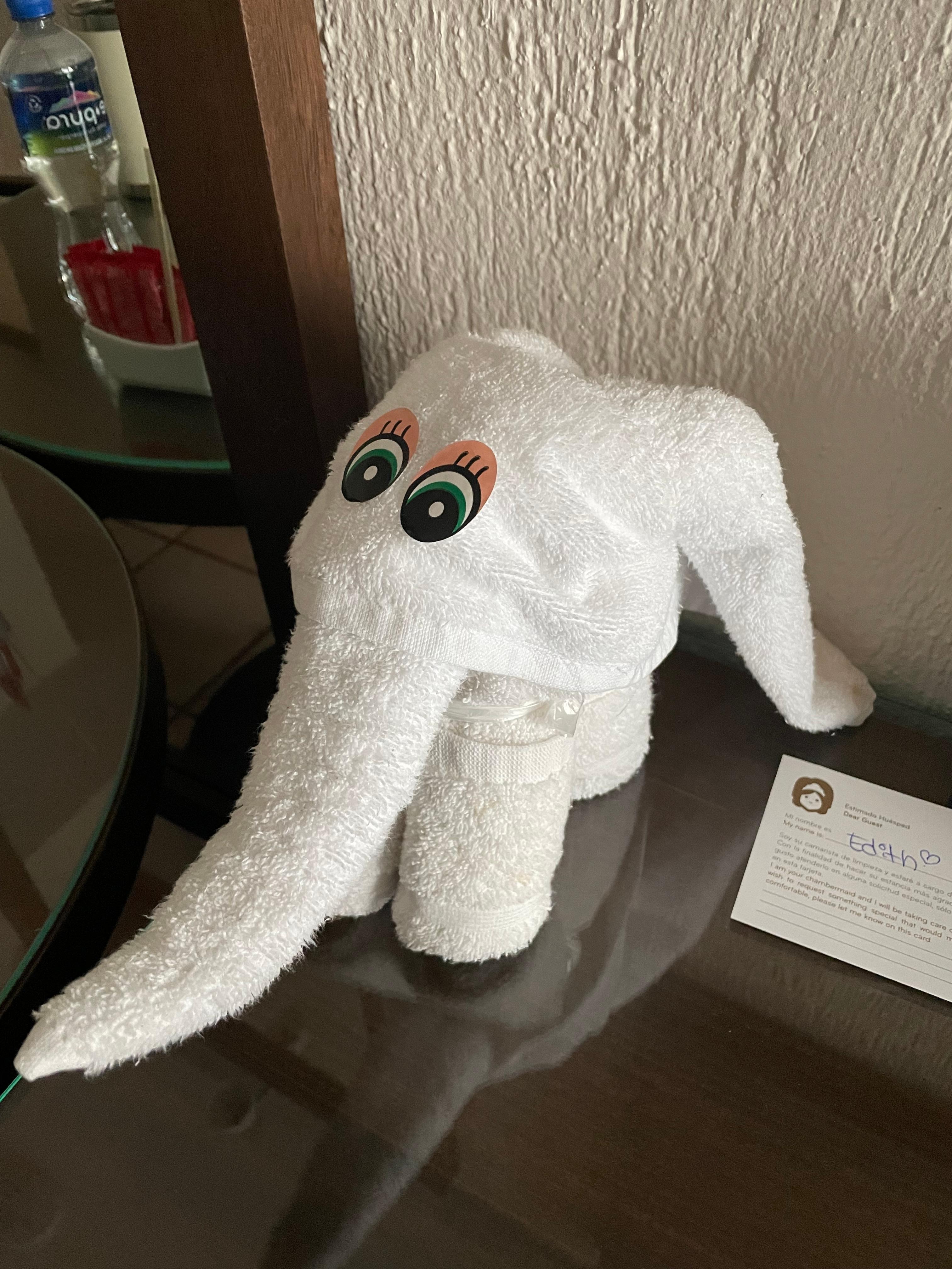 Cute animals from the cleaners 