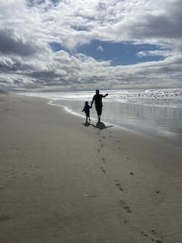 Walking the beach with lots of birds.