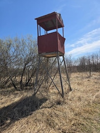 Fall Tree House, many properties have them around here.