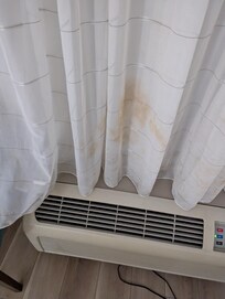 Unsavory linens and curtains