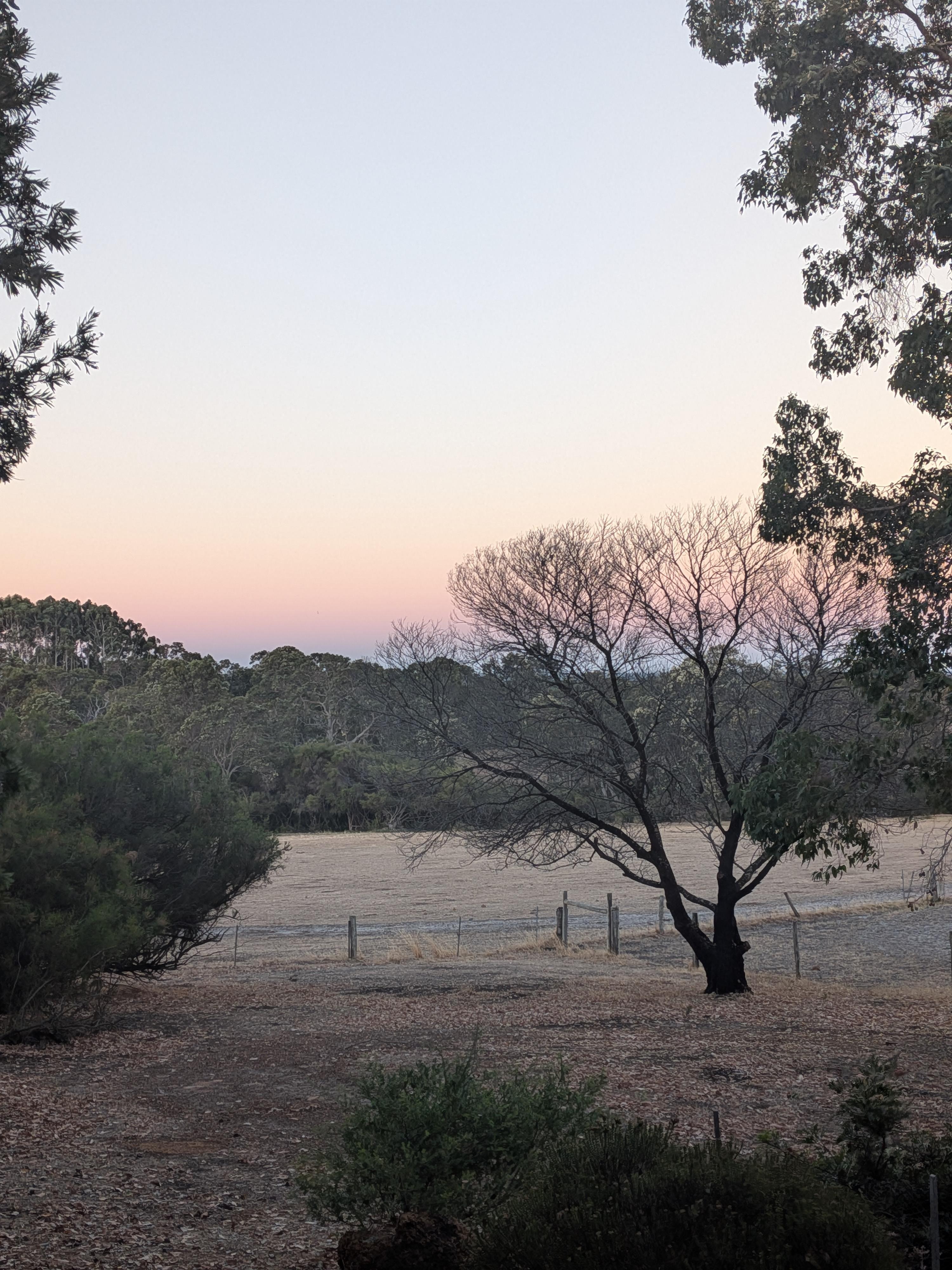 Afternoon verandah view.