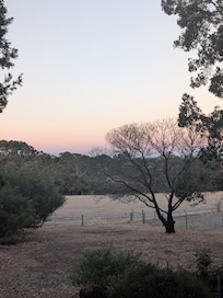 Afternoon verandah view.