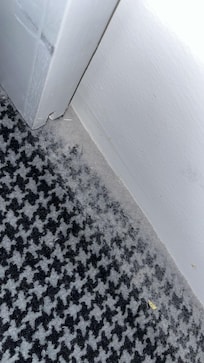 Dust building at bottom of bedroom door.